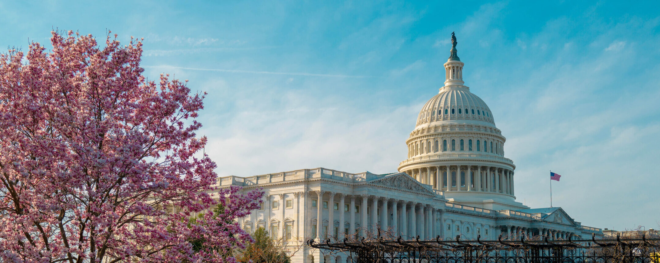 Americans' knowledge of civics increases: survey