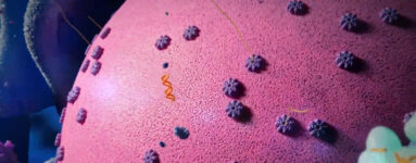 Detail of an image from a short animation showing how cells defend themselves against bits of foreign DNA.
