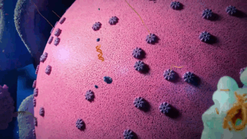 Image from a short animation showing how cells protect themselves against foreign DNA.