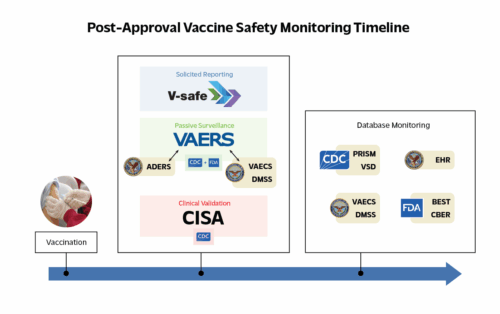 Graphic showing the US post-approval vaccine safety monitoring system.